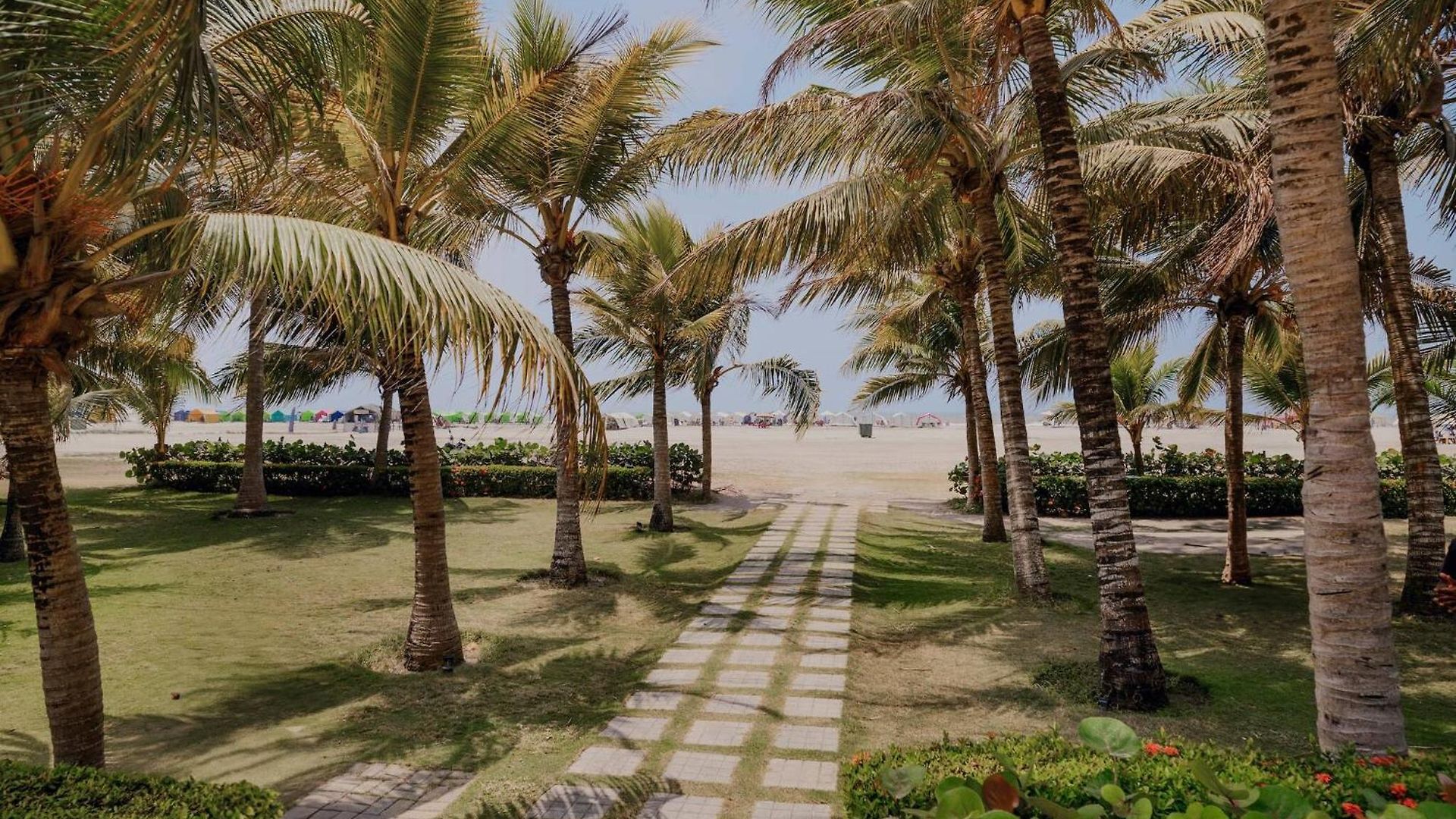 Beachfront In